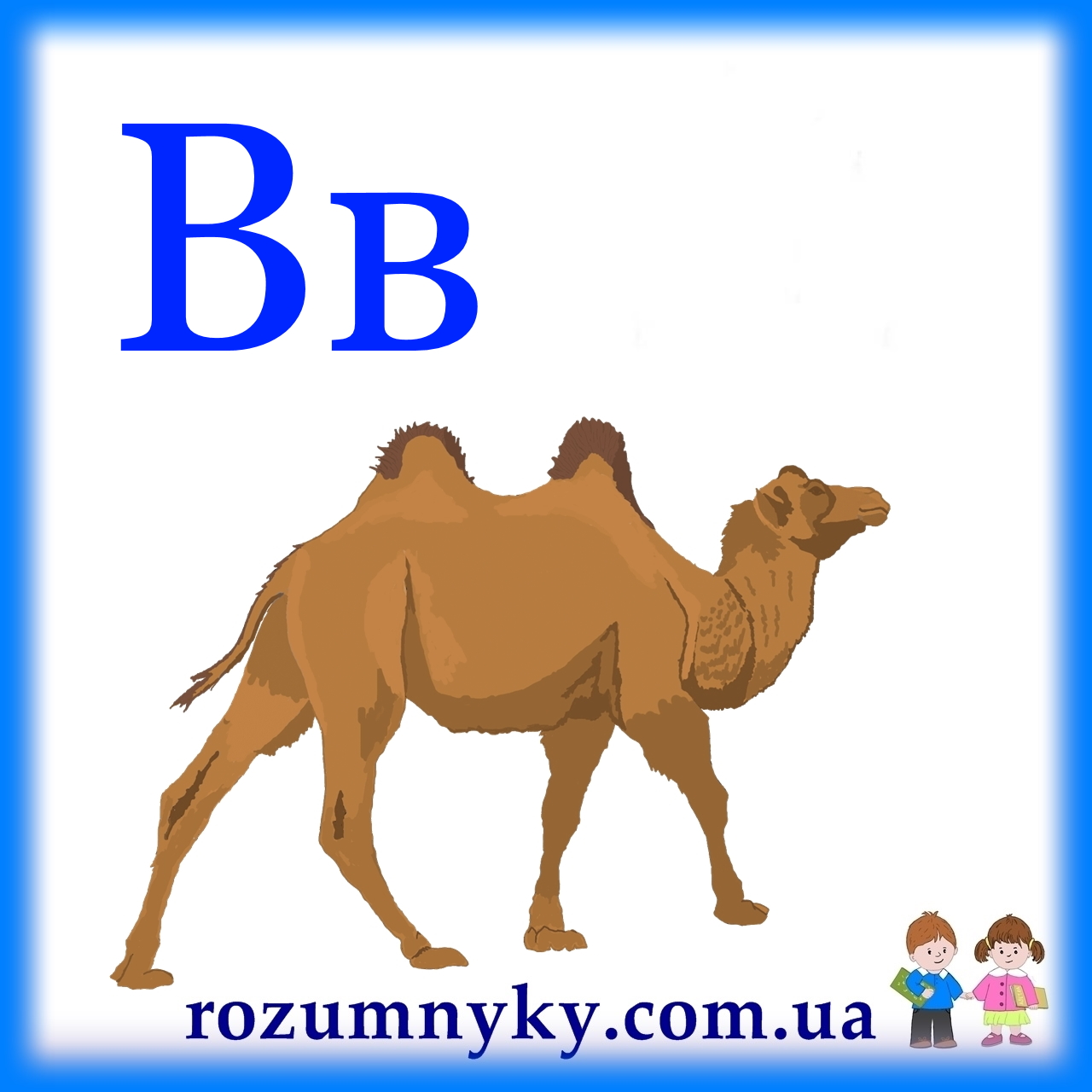 В, верблюд, абетка, картка з малюнком