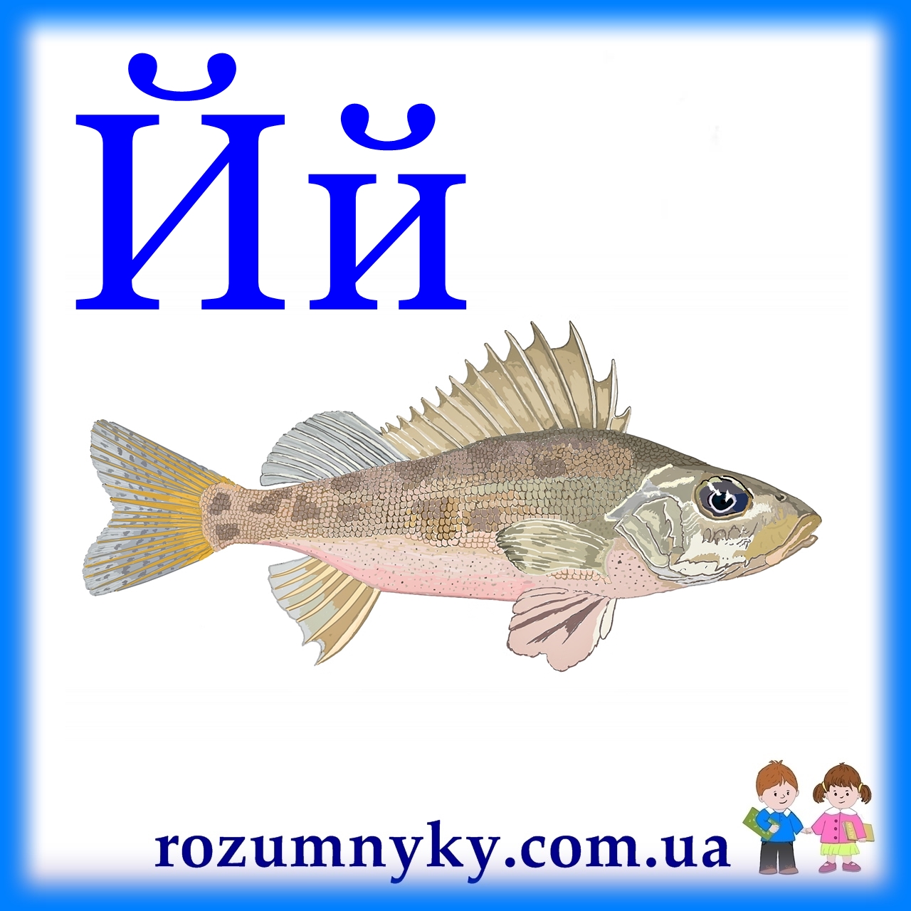 Й, йорж, абетка, картка з малюнком