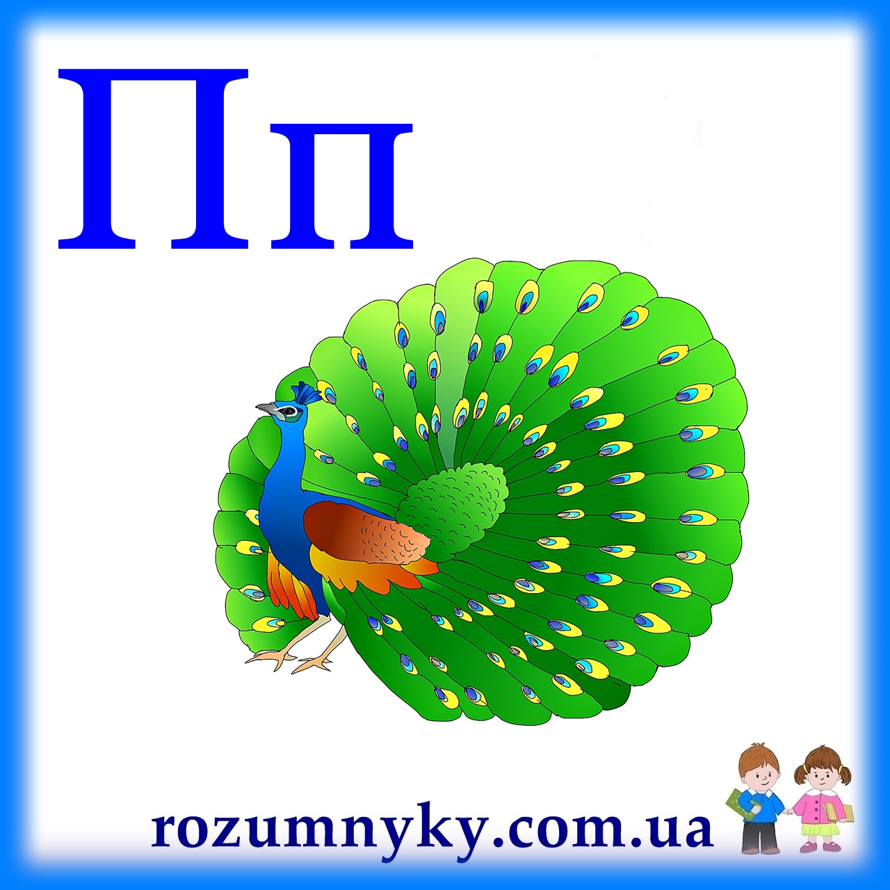 П, павич, абетка, картка з малюнком