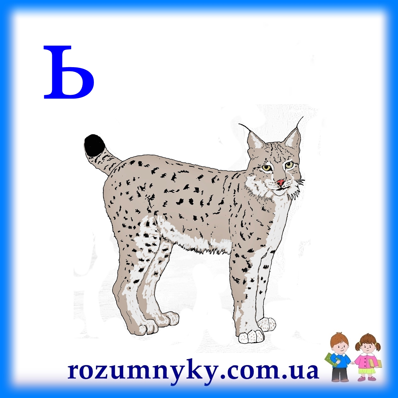 М'який знак, рись, абетка, картка з малюнком