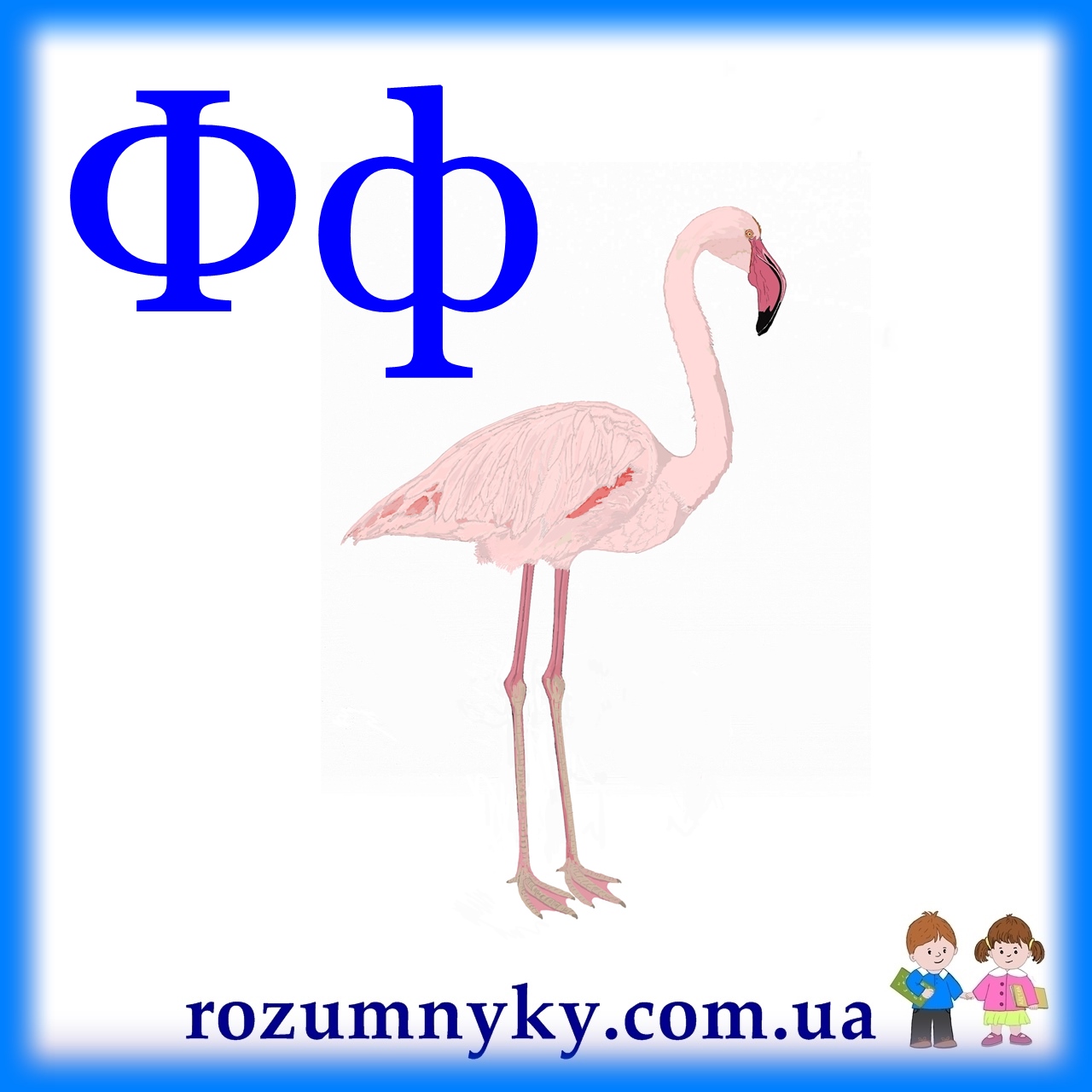 Ф, фламінго, абетка, картка з малюнком